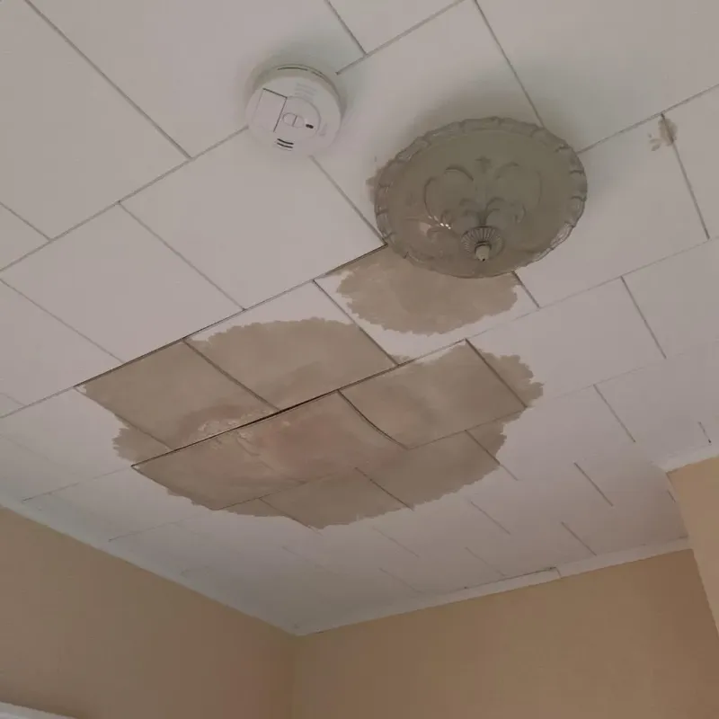 Ceiling Water Damage Repair in Comanche County, KS