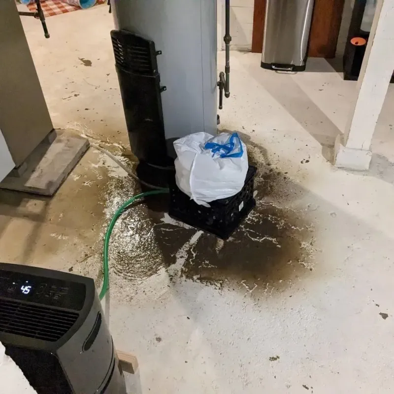 Sewage Backup Cleanup Service in Comanche County, KS